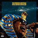 The Barrence Whitfield Soul Savage Arkestra - Everything Is Space We Want the Funk…