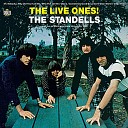 The Standells - Mr Nobody Live