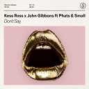 Kess Ross John Gibbons - Dont Say Extended Mix feat Phats Small