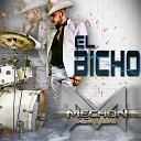 Mechon Y Su Grupo Mandato - El Bicho