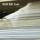 Radiant Mind Steve Roach - Womb Of Healing