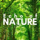 Natural Spot - Music to Improve Mood