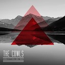 The Cowls - Pit of My Stomach Original Mix