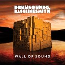 Drumsound Bassline Smith feat Ayah Marar - The Flames