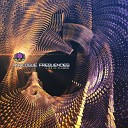 Analogue Frequencies - Flame Original Mix