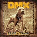 DMX feat Chinky - My Life