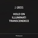 J Gross - Transcendece Original Mix