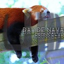 Davide Nava - Drunk Bear Original Mix