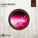 Bjorn Mandry - Have It All Original Mix