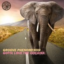 Groove Phenomenon - Gotta Love the Cocaina Radio Edit