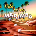 Marimba Del Sur - El Dia Que Me Quieras
