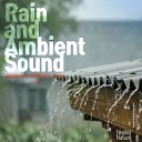 Nature Sound Band - Relaxing Rain and Bird Sounds ASMR Sleep Music Meditation…