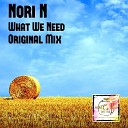 Nori N - What We Need Original Mix