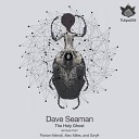 Dave Seaman - The Holy Ghost Original Mix