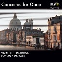 St Petersburg Chamber Orchestra Canon Alexander… - Oboe Concerto in A minor RV 461 II Larghetto