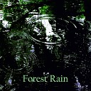 Rain Masters From TraxLab - Rain in the Forest Part 10