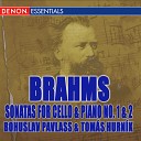 Tomas Hurnik Bohuslav Pavlass - Sonata for Violoncello Piano No 1 in E Minor Op 38 III Allegro Pi…