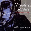 Stefano Maria Ricatti - Nuvole e radici