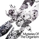 DJ Gruja - Mysteries of the Organism