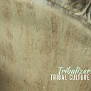 Tribalizer - The Test Original Mix