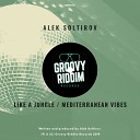 Alek Soltirov - Like A Jungle We Can t Dance Original Mix