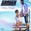 Shaggy - If U Slip U Slide You Could B