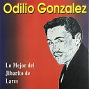 Odilio Gonzalez - Escalera al Cielo