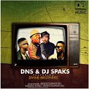 Dns Dj Sparks feat Dvine Brothers - Gold Digger AmaPiano Mix