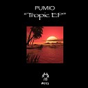 Pumio - World Original Mix