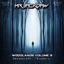 Mr Jackdaw - Windmill Original Mix