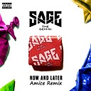 Sage The Gemini - Now Later Amice Remix