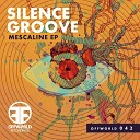 Silence Groove - Shine Through Original Mix