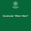 Soulshade - What I Want Original Mix
