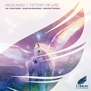 Nikolauss - Victory of Life Sebastian Brushwood Remix