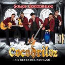 Cocodriloz - Y Ahora Publicas