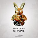 Cotton Animals - Survive