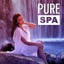 Spa New Age Spa Music Consort - Focus on Wellness