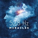 Solfeggio Frequencies Tones - Love Frequency 528 Hz