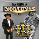 Cornelio Reyna III - Mi Tesoro