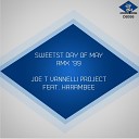 Joe T Vannelli Project feat Harambee - Summer Inside of Me Fos Extreme Dub