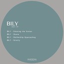 Bily - Entering the Vortex