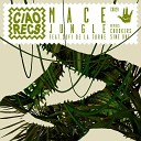 Mace feat Sofi de la Torre - Jungle Crookers Remix