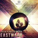 Spatial Plants Amstex - Eastward Original Mix