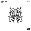 Roman Garnet - Limon Original Mix