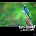 Bird Song Lounge feat Wild Bird Japan - Blue White Flycatcher Original Mix