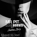 Mr Pit Sean Norvis feat Justine Berg - Afraid To Feel Original Mix