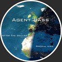Agent Bass - After The Decline Original Mix