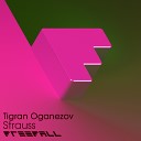 Tigran Oganezov - Strauss Original Mix