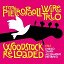Enzo Pietropaoli Wire Trio - With a Little Help from My Friends