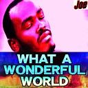 Joe feat Max Santomo - What a Wonderful World